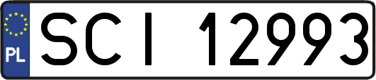 SCI12993
