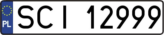 SCI12999