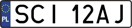 SCI12AJ