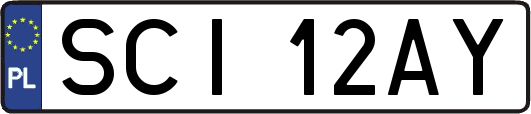 SCI12AY