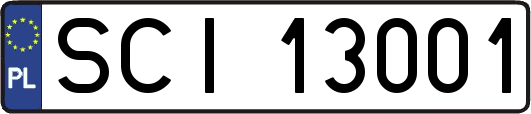SCI13001