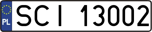 SCI13002