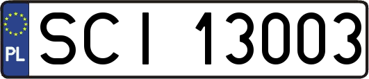 SCI13003