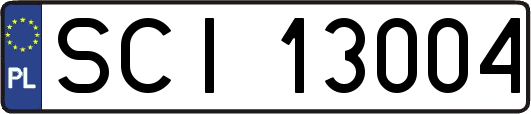SCI13004