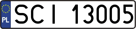 SCI13005
