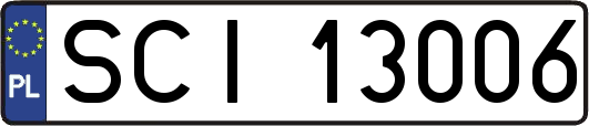 SCI13006