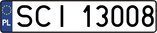 SCI13008