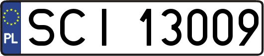 SCI13009