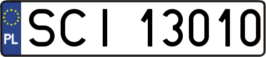 SCI13010