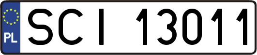 SCI13011