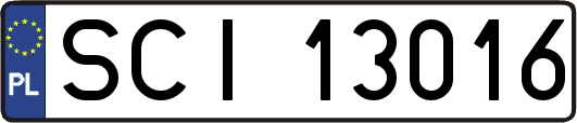 SCI13016