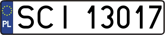 SCI13017