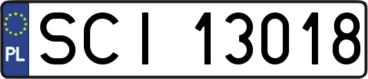 SCI13018