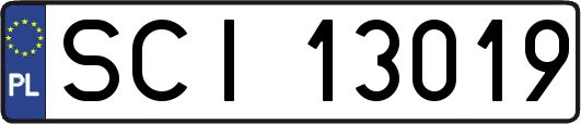 SCI13019