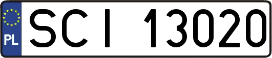 SCI13020