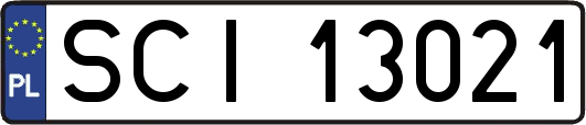 SCI13021