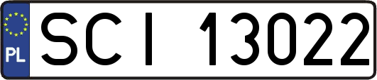 SCI13022
