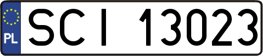 SCI13023
