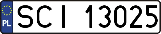 SCI13025