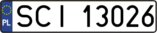 SCI13026