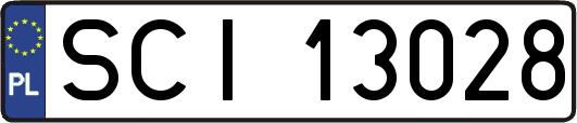 SCI13028