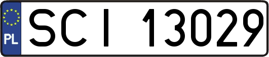 SCI13029