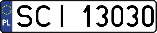 SCI13030