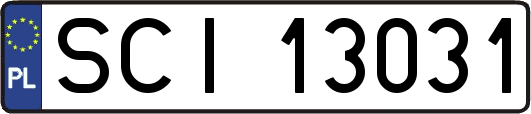 SCI13031