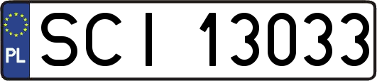SCI13033