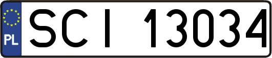 SCI13034
