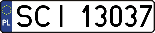 SCI13037