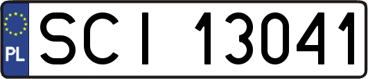 SCI13041