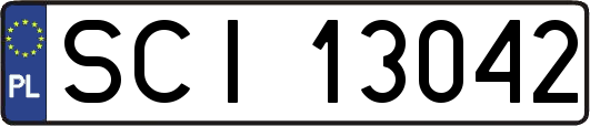 SCI13042