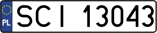 SCI13043