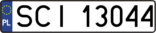 SCI13044