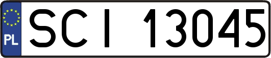 SCI13045