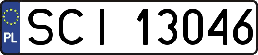 SCI13046