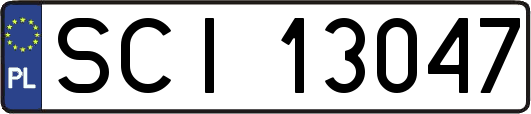 SCI13047