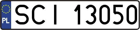 SCI13050