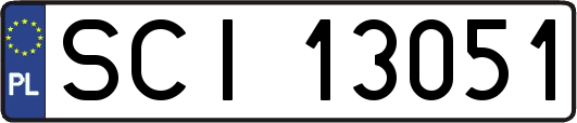 SCI13051