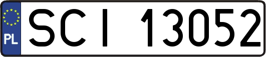 SCI13052
