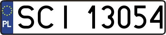 SCI13054