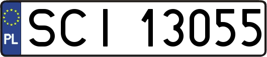SCI13055