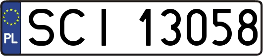 SCI13058