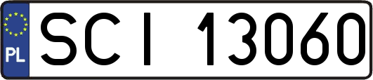 SCI13060