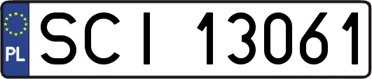 SCI13061