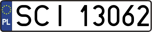 SCI13062
