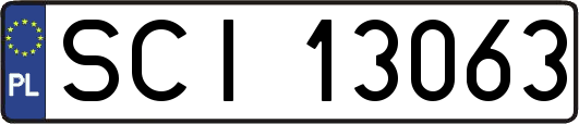 SCI13063