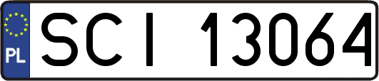 SCI13064