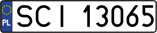 SCI13065